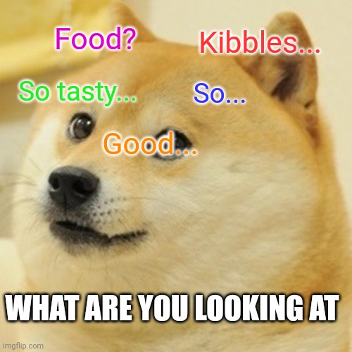 I want to eat...eat...eat | Food? Kibbles... So tasty... So... Good... WHAT ARE YOU LOOKING AT | image tagged in memes,doge | made w/ Imgflip meme maker
