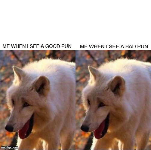 ME WHEN I SEE A BAD PUN; ME WHEN I SEE A GOOD PUN | image tagged in bad pun,memes | made w/ Imgflip meme maker