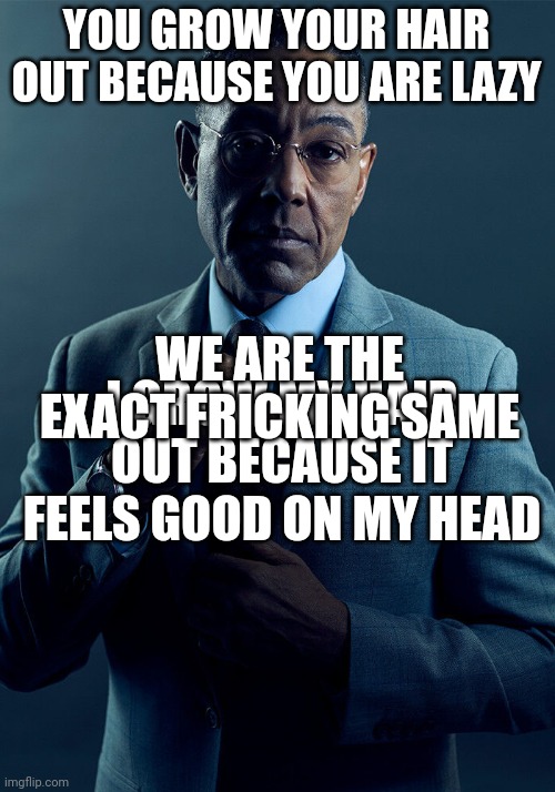 Gus Fring we are not the same | YOU GROW YOUR HAIR OUT BECAUSE YOU ARE LAZY I GROW MY HAIR OUT BECAUSE IT FEELS GOOD ON MY HEAD WE ARE THE EXACT FRICKING SAME | image tagged in gus fring we are not the same | made w/ Imgflip meme maker