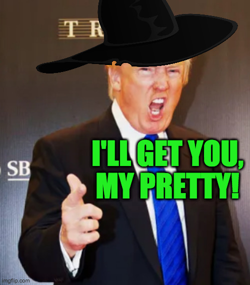 I'LL GET YOU,
MY PRETTY! | made w/ Imgflip meme maker