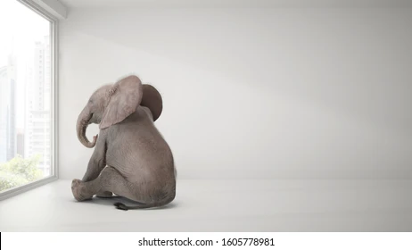 elephant in the time out corner for being a bad boy Blank Meme Template