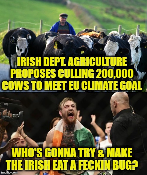 Cow Farts | image tagged in climate | made w/ Imgflip meme maker