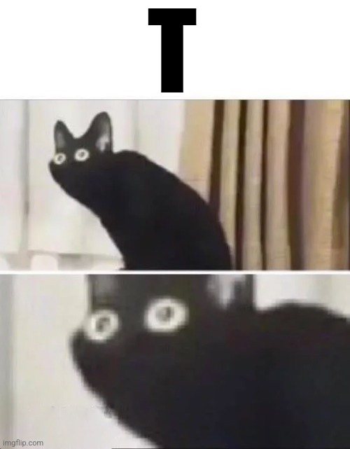 You wouldn't understand. | T | image tagged in oh no black cat | made w/ Imgflip meme maker