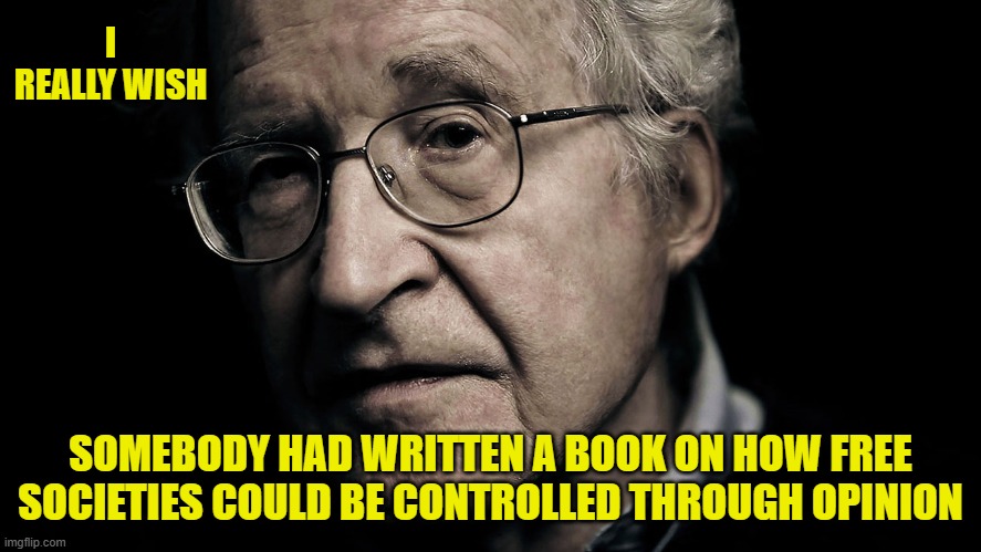 Noam Chomsky | I REALLY WISH SOMEBODY HAD WRITTEN A BOOK ON HOW FREE SOCIETIES COULD BE CONTROLLED THROUGH OPINION | image tagged in noam chomsky | made w/ Imgflip meme maker