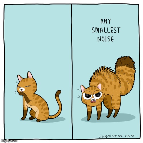 A Cat's Way Of Thinking | image tagged in memes,comics/cartoons,cats,response,small,noise | made w/ Imgflip meme maker