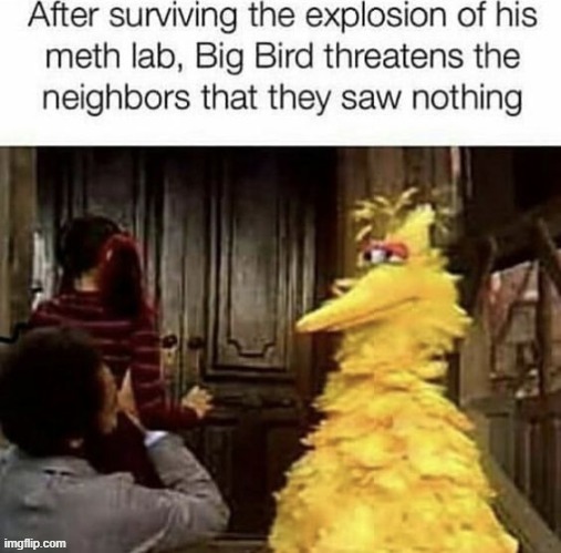 Big Birds meth lab exploded | image tagged in big birds meth lab exploded | made w/ Imgflip meme maker