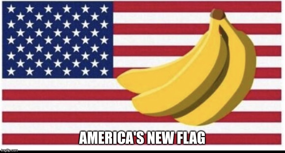 Banana Republic | AMERICA'S NEW FLAG | image tagged in american flag | made w/ Imgflip meme maker