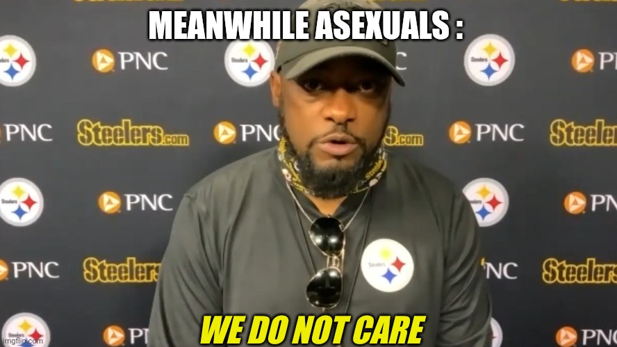 we do not care | MEANWHILE ASEXUALS : | image tagged in we do not care | made w/ Imgflip meme maker