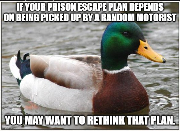 Actual Advice Mallard Meme | IF YOUR PRISON ESCAPE PLAN DEPENDS ON BEING PICKED UP BY A RANDOM MOTORIST YOU MAY WANT TO RETHINK THAT PLAN. | image tagged in memes,actual advice mallard | made w/ Imgflip meme maker