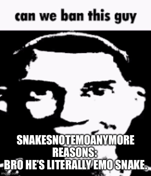 Can we ban this guy | SNAKESNOTEMOANYMORE
REASONS: 
BRO HE’S LITERALLY EMO SNAKE. | image tagged in can we ban this guy | made w/ Imgflip meme maker