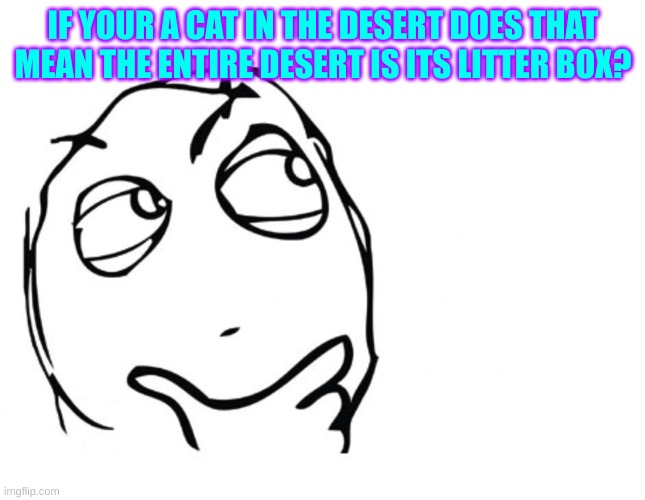 hmmm | IF YOUR A CAT IN THE DESERT DOES THAT MEAN THE ENTIRE DESERT IS ITS LITTER BOX? | image tagged in hmmm | made w/ Imgflip meme maker