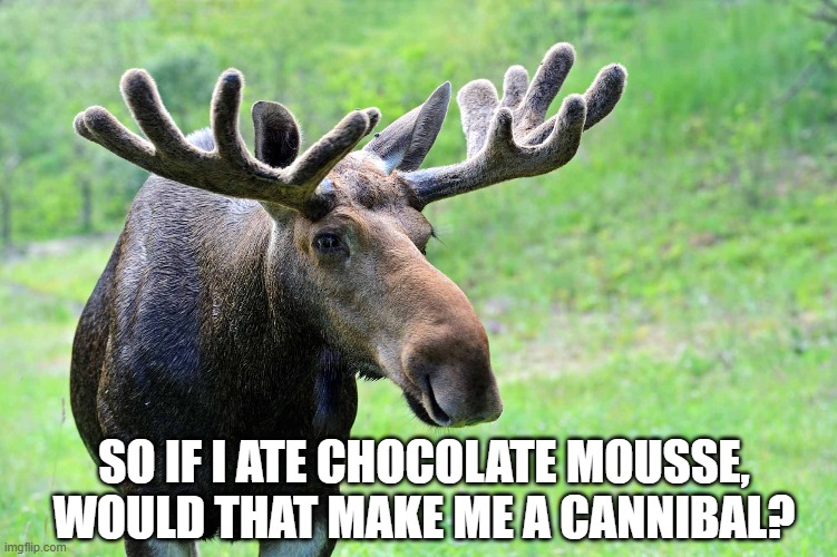 SO IF I ATE CHOCOLATE MOUSSE, WOULD THAT MAKE ME A CANNIBAL? | made w/ Imgflip meme maker