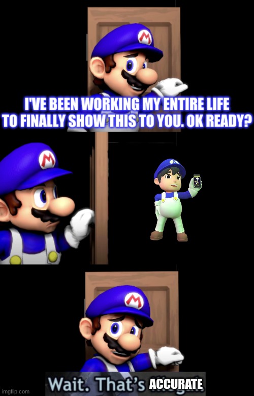 SMG4 door with wait that’s illegal | ACCURATE | image tagged in smg4 door with wait that s illegal,smg4 | made w/ Imgflip meme maker