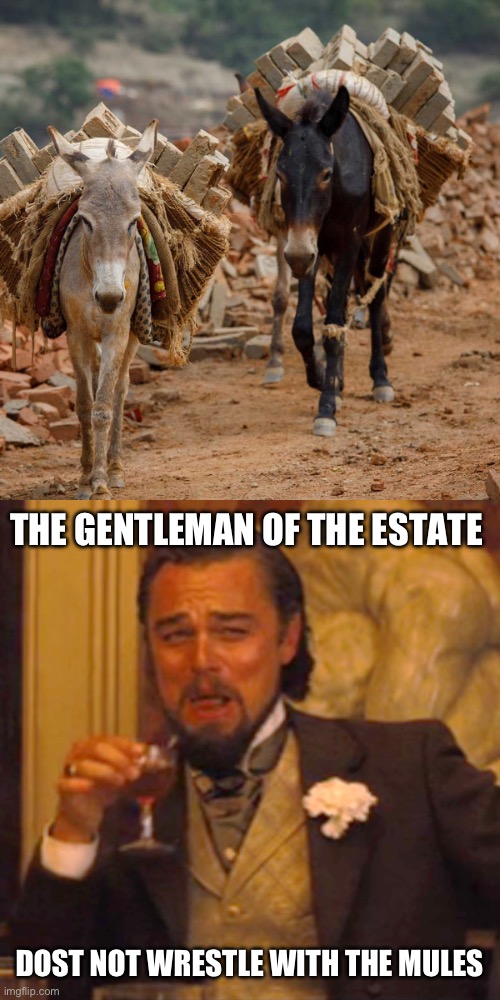 THE GENTLEMAN OF THE ESTATE; DOST NOT WRESTLE WITH THE MULES | image tagged in memes,laughing leo | made w/ Imgflip meme maker