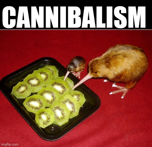 Kiwi Cannibalism | CANNIBALISM | image tagged in kiwi cannibalism | made w/ Imgflip meme maker
