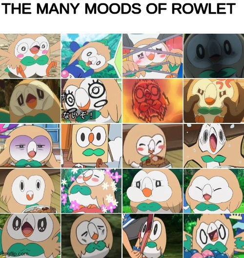 THE MANY MOODS OF ROWLET | made w/ Imgflip meme maker