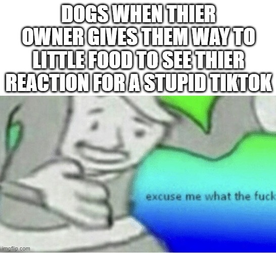 poor dog just want some damn food | DOGS WHEN THIER OWNER GIVES THEM WAY TO LITTLE FOOD TO SEE THIER REACTION FOR A STUPID TIKTOK | image tagged in excuse me wtf blank template | made w/ Imgflip meme maker