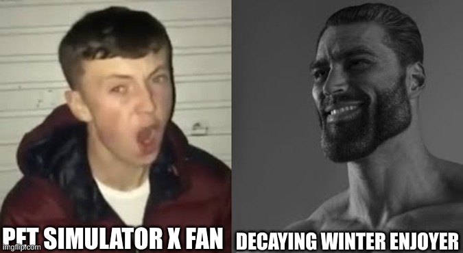 Average Enjoyer meme | PET SIMULATOR X FAN; DECAYING WINTER ENJOYER | image tagged in average enjoyer meme | made w/ Imgflip meme maker