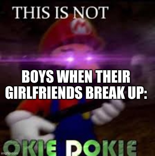This is not okie dokie | BOYS WHEN THEIR GIRLFRIENDS BREAK UP: | image tagged in this is not okie dokie | made w/ Imgflip meme maker