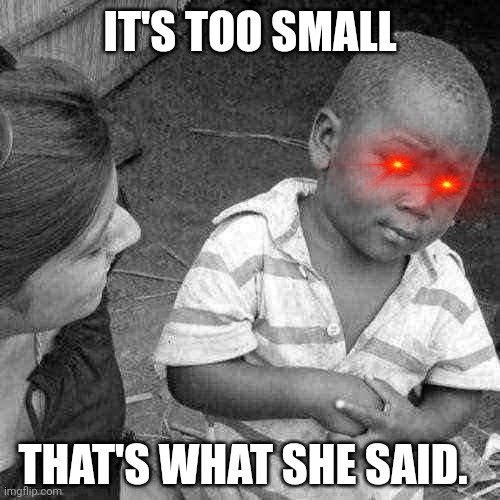 Bro | IT'S TOO SMALL; THAT'S WHAT SHE SAID. | image tagged in memes,third world skeptical kid | made w/ Imgflip meme maker