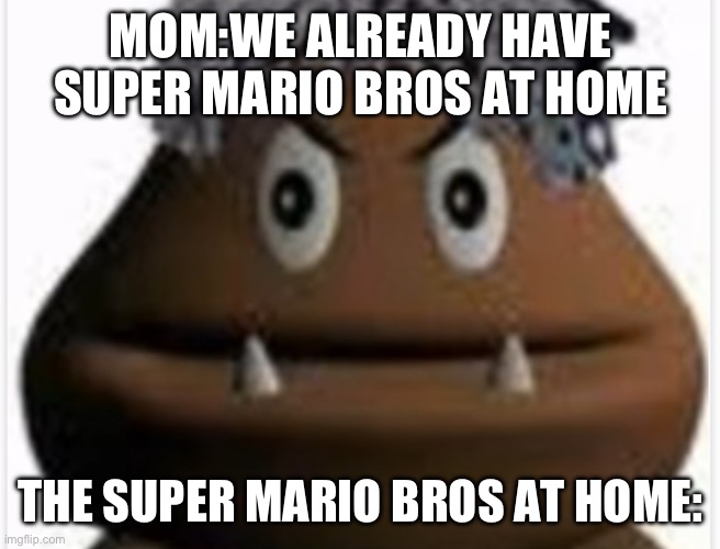 MOM:WE ALREADY HAVE SUPER MARIO BROS AT HOME; THE SUPER MARIO BROS AT HOME: | made w/ Imgflip meme maker