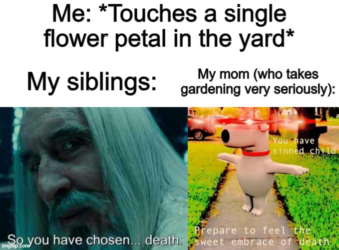 My mom gets very upset if she finds a flower being touched ._. | Me: *Touches a single flower petal in the yard*; My mom (who takes gardening very seriously):; My siblings: | image tagged in you have sinned child prepare to feel the sweet embrace of death | made w/ Imgflip meme maker