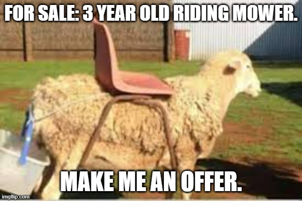 meme by Brad riding mower | FOR SALE: 3 YEAR OLD RIDING MOWER. MAKE ME AN OFFER. | image tagged in humor | made w/ Imgflip meme maker