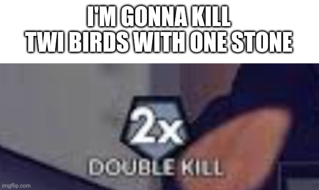 Double Kill | I'M GONNA KILL TWI BIRDS WITH ONE STONE | image tagged in double kill | made w/ Imgflip meme maker
