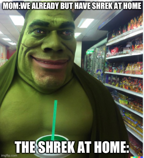 MOM:WE ALREADY BUT HAVE SHREK AT HOME; THE SHREK AT HOME: | made w/ Imgflip meme maker