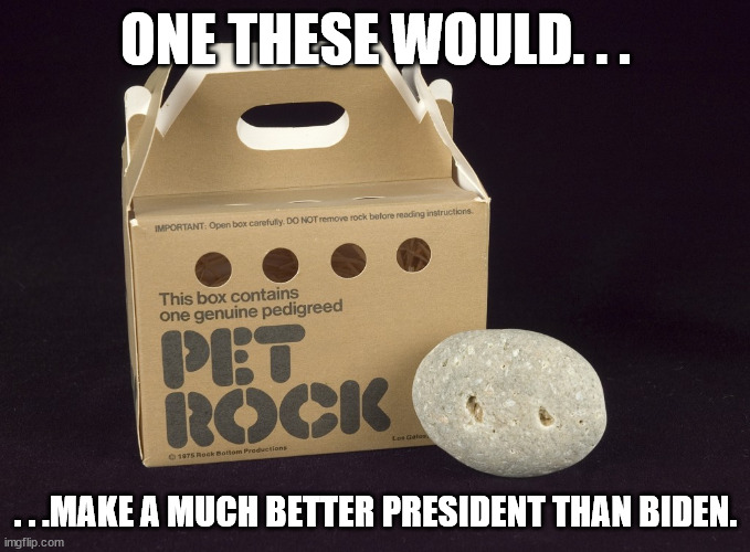 Could be the most uncontroversial president ever. | ONE THESE WOULD. . . . . .MAKE A MUCH BETTER PRESIDENT THAN BIDEN. | image tagged in pet rock,government,creepy joe biden | made w/ Imgflip meme maker