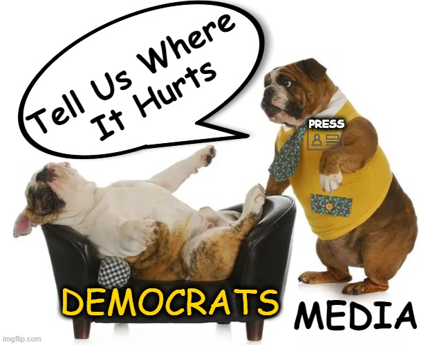 The Media Carries Water For The Democrat Party of Victims | Tell Us Where 
It Hurts; PRESS; MEDIA; DEMOCRATS | image tagged in politics,democrats,victims,victimhood mentality,biased media,mainstream media | made w/ Imgflip meme maker