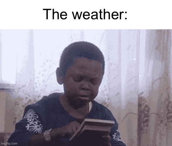 Calculator Kid | The weather: | image tagged in calculator kid | made w/ Imgflip meme maker