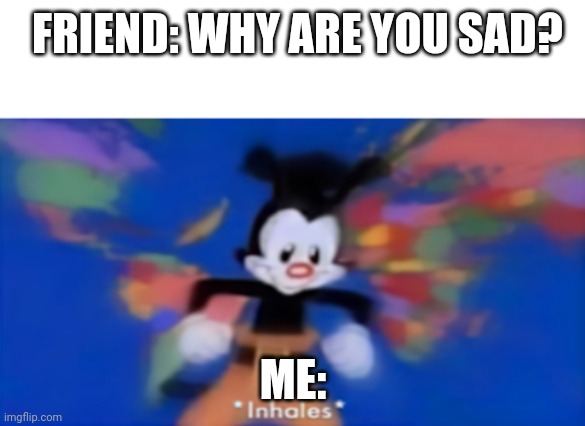 Sad but true :( | FRIEND: WHY ARE YOU SAD? ME: | image tagged in yakko inhale,sad but true,why are you reading this | made w/ Imgflip meme maker