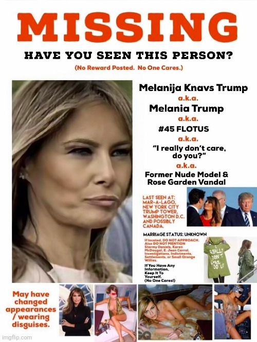Melania missing poster | image tagged in melania,dump trump | made w/ Imgflip meme maker