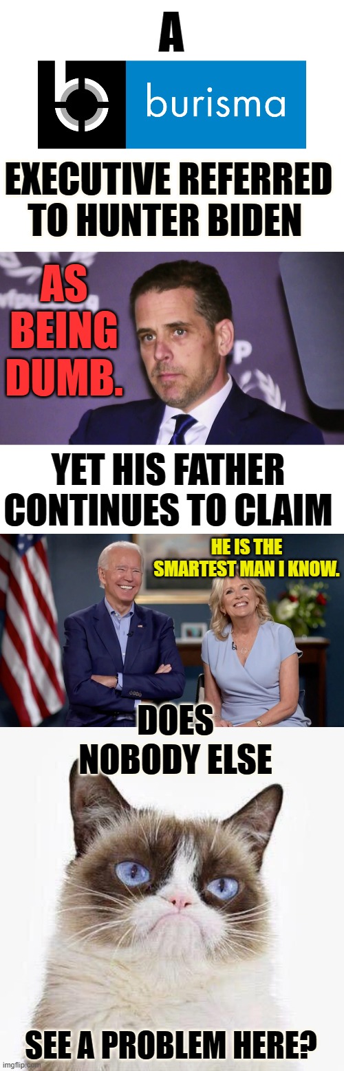Hmmm... | A; EXECUTIVE REFERRED TO HUNTER BIDEN; AS BEING DUMB. YET HIS FATHER CONTINUES TO CLAIM; HE IS THE SMARTEST MAN I KNOW. DOES NOBODY ELSE; SEE A PROBLEM HERE? | image tagged in memes,politics,hunter biden,dumb,joe biden,not a true story | made w/ Imgflip meme maker