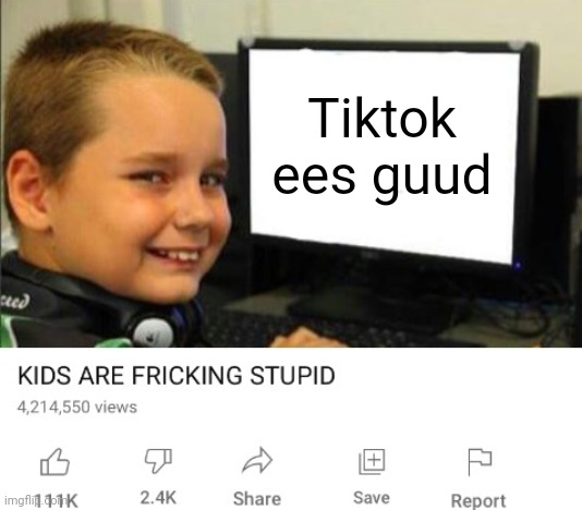 Kids are fricking stupid | Tiktok ees guud | image tagged in kids are fricking stupid | made w/ Imgflip meme maker