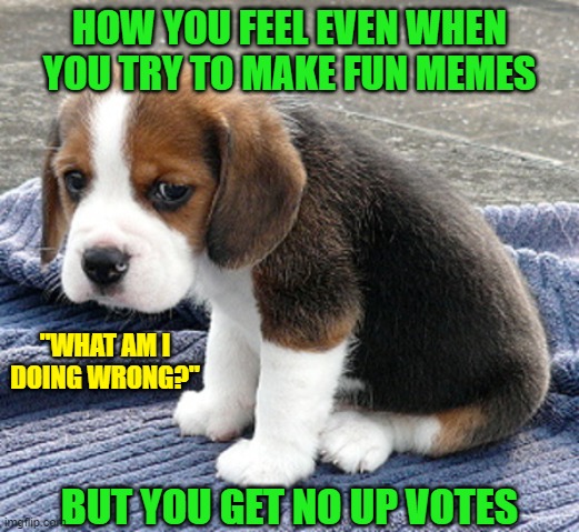 I'm doing my best | HOW YOU FEEL EVEN WHEN YOU TRY TO MAKE FUN MEMES; "WHAT AM I DOING WRONG?"; BUT YOU GET NO UP VOTES | image tagged in sad dog | made w/ Imgflip meme maker
