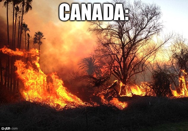 Canada’s making Australia proud | CANADA: | image tagged in flame war flames devastation | made w/ Imgflip meme maker