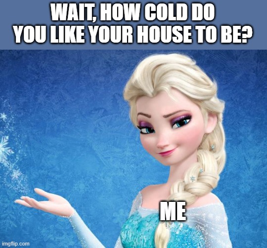 Go outside if you don't like it this cold | WAIT, HOW COLD DO YOU LIKE YOUR HOUSE TO BE? ME | image tagged in elsa frozen | made w/ Imgflip meme maker