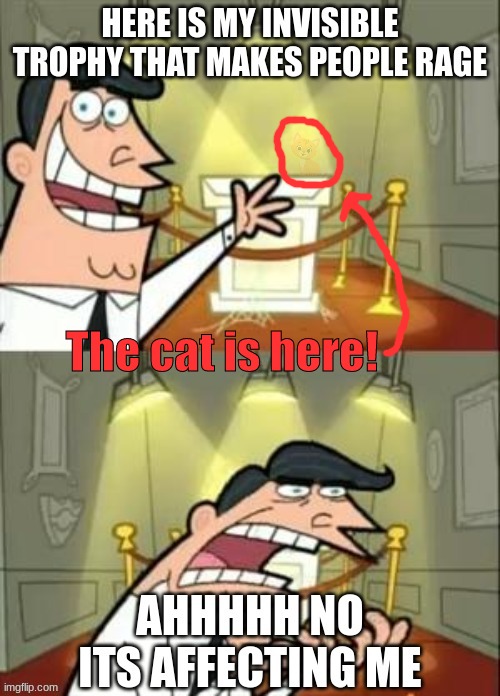 In case you couldn't find him: | The cat is here! | image tagged in cat | made w/ Imgflip meme maker