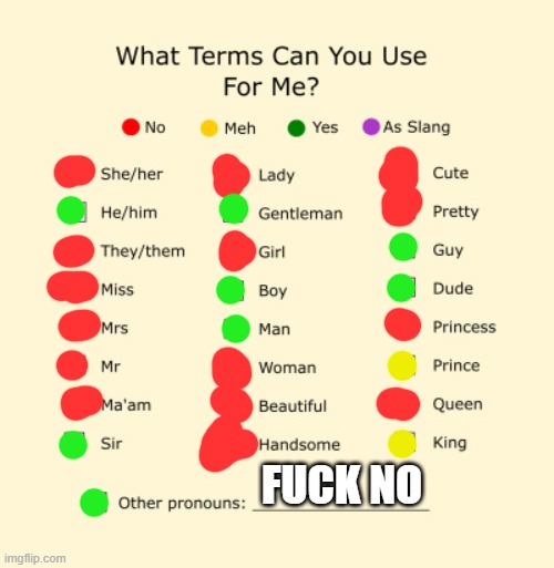 Pronouns Sheet | FUCK NO | image tagged in pronouns sheet,pronouns | made w/ Imgflip meme maker