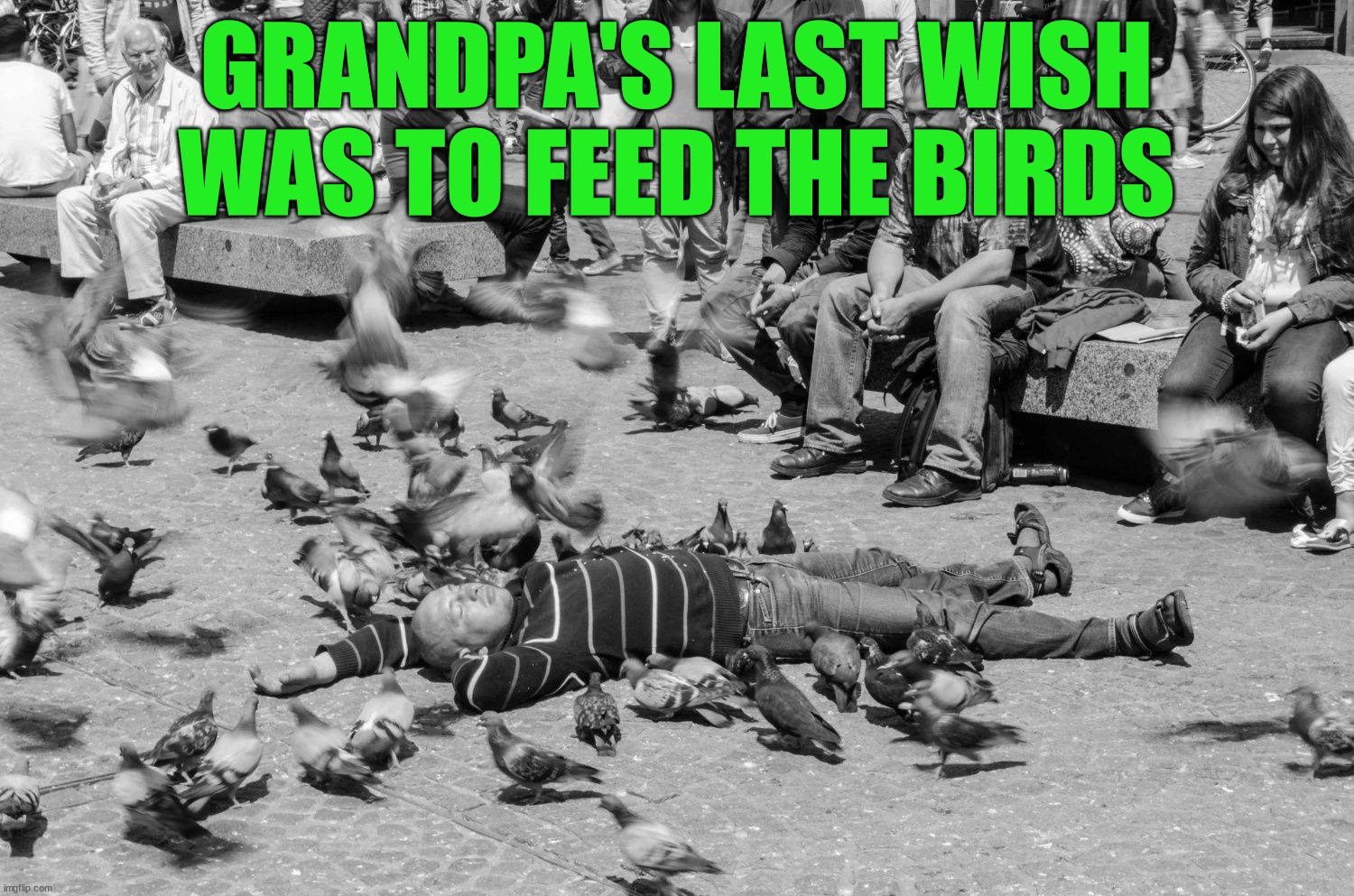 GRANDPA'S LAST WISH WAS TO FEED THE BIRDS | image tagged in dark humor | made w/ Imgflip meme maker