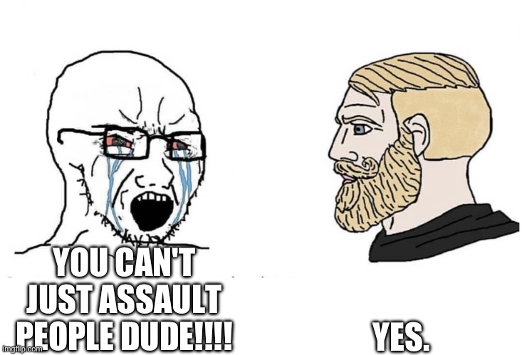 Soyboy Vs Yes Chad | YES. YOU CAN'T JUST ASSAULT PEOPLE DUDE!!!! | image tagged in soyboy vs yes chad | made w/ Imgflip meme maker