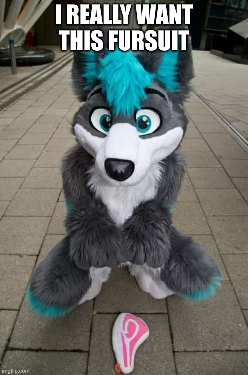 Furry | I REALLY WANT THIS FURSUIT | image tagged in furry,funny,meme,fun memes | made w/ Imgflip meme maker