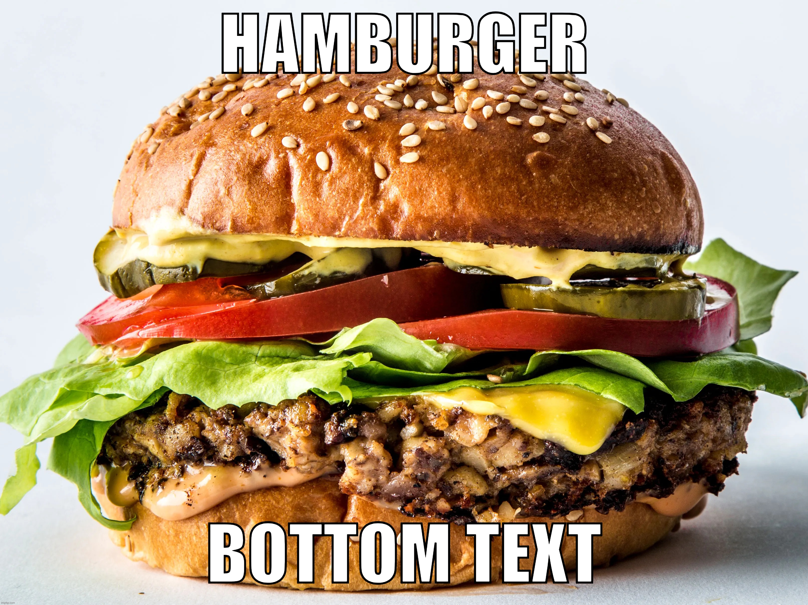 HAMBURGER; BOTTOM TEXT | made w/ Imgflip meme maker