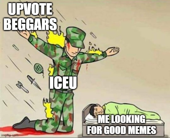 Not the carrots the lettuce and the broccoli | UPVOTE BEGGARS; ICEU; ME LOOKING FOR GOOD MEMES | image tagged in soldier protecting sleeping child | made w/ Imgflip meme maker