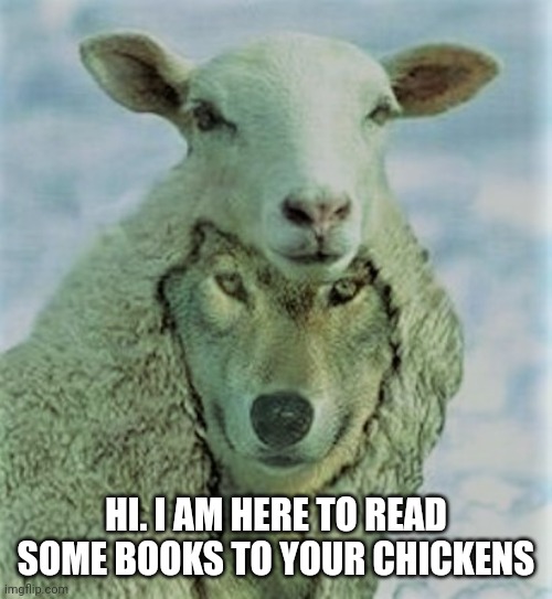 Come on chickens, time for "sheep" story hour.. | HI. I AM HERE TO READ SOME BOOKS TO YOUR CHICKENS | image tagged in wolf | made w/ Imgflip meme maker