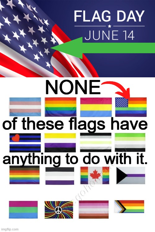 No Confusion Here....America Has ONE National Flag. | NONE; of these flags have; anything to do with it. | image tagged in politics,american flag,gay pride flag,confusion,america first,confused confusing confusion | made w/ Imgflip meme maker