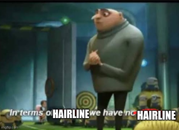 Hairline | HAIRLINE; HAIRLINE | image tagged in in terms of money,hairless,gru,memes | made w/ Imgflip meme maker