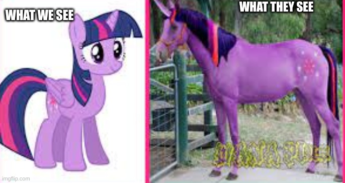 WHAT THEY SEE; WHAT WE SEE | image tagged in funny,twilight,mlp,fun,memes | made w/ Imgflip meme maker